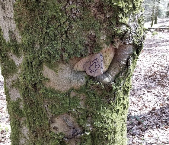 Bleib gesund, © Faber Bleib gesund, © Faber