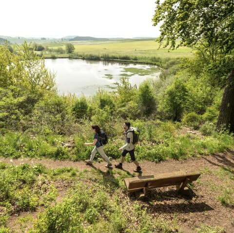 Two hikers on a path at Eichholzmaar in the Eifel. The Maarsee lake and green landscape in the background. A bench stands at the edge of the path., © Eifel Tourismus GmbH, Dominik Ketz Two hikers on a path at Eichholzmaar in the Eifel. The Maarsee lake and green landscape in the background. A bench stands at the edge of the path., © Eifel Tourismus GmbH, Dominik Ketz