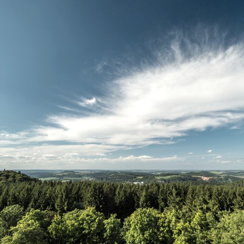 Panoramablick über die Eifellandschaft des Gerolsteiner Landes, © Eifel Tourismus GmbH, Dominik Ketz Weitläufige Waldlandschaft mit Blick weit zum horizont unter blauem Himmel mit einigen Wolken.