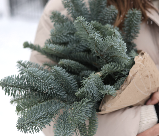 Adventskranz, © canva Adventskranz, © canva