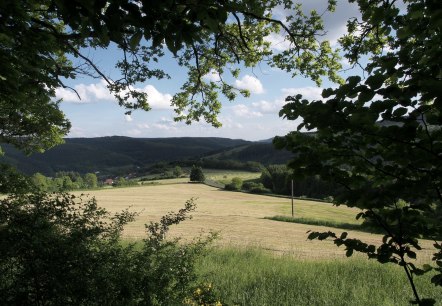 Blick aus einem Wald auf eine weite Wiese, umrahmt von grünen Blättern. Im Hintergrund sind Hügel und ein blauer Himmel mit Wolken zu sehen., © Touristik GmbH Gerolsteiner Land Blick aus einem Wald auf eine weite Wiese, umrahmt von grünen Blättern. Im Hintergrund sind Hügel und ein blauer Himmel mit Wolken zu sehen., © Touristik GmbH Gerolsteiner Land