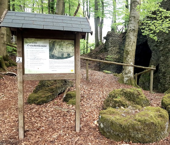 Informationstafel zur Burgruine Freudenkoppe im Wald.
, © Nicole Baller/TW Gerolsteiner Land GmbH Eine in Holz gefasste Informationstafel zur Burgruine Freudenkoppe steht mitten in einem Wald umgeben von Bäumen, Felsen und alten Gemäuern.