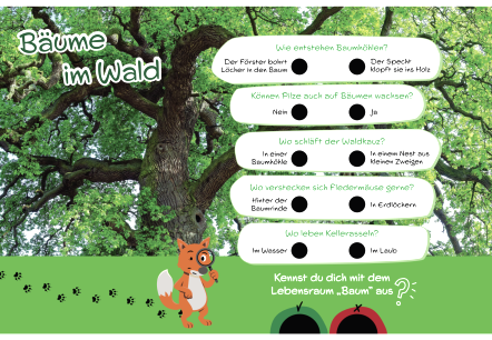 Large quiz sign about "Trees in the Forest"., © hochkant Large quiz sign about "Trees in the Forest" with either/or questions.