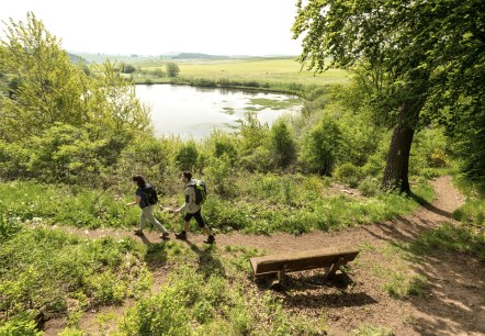 Zwei Wanderer gehen auf einem Pfad entlang eines Sees in einer grünen, hügeligen Landschaft. Eine Bank steht am Wegesrand., © Eifel Tourismus GmbH, Dominik Ketz Zwei Wanderer auf einem Pfad neben einem See in einer grünen Landschaft.