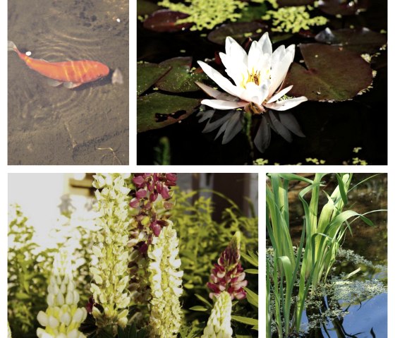 Natur pur Natur pur