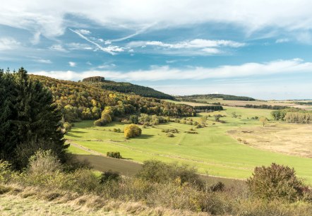 Dreiser Weiher op de Vulkangipfel-Pfad wandelroute, © Eifel Tourismus GmbH - D. Ketz Dreiser Weiher op de Vulkangipfel-Pfad wandelroute, © Eifel Tourismus GmbH - D. Ketz