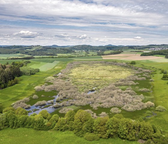 Uitzicht op het natuurreservaat Mürmes op de Vulcano Trail, © Eifel Tourismus GmbH, D. Ketz Uitzicht op het natuurreservaat Mürmes op de Vulcano Trail, © Eifel Tourismus GmbH, D. Ketz