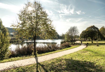 Idyllischer Pfad mit See im Bolsdorfer Tälchen.
, © Eifel Tourismus GmbH, Dominik Ketz Idyllischer Wanderpfad führt neben einem See im Bolsdorfer Tälchen vorbei.