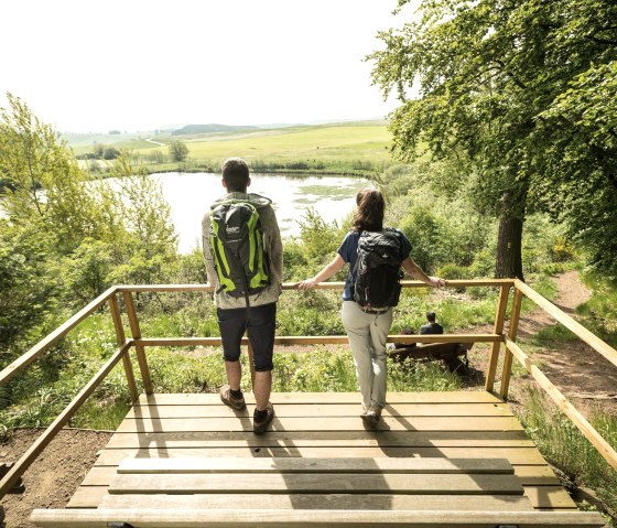 ET-2019-354-Vulcanpfad, Eichholzmaar ©, © Eifel Tourismus GmbH, Dominik Ketz ET-2019-354-Vulcanpfad, Eichholzmaar ©, © Eifel Tourismus GmbH, Dominik Ketz