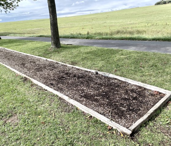 Rectangular bed with wooden frame on a meadow, behind it an asphalted path and a wide green field under a cloudy sky., © Touristik GmbH Gerolsteiner Land Rectangular bed with wooden frame on a meadow, behind it an asphalted path and a wide green field under a cloudy sky., © Touristik GmbH Gerolsteiner Land