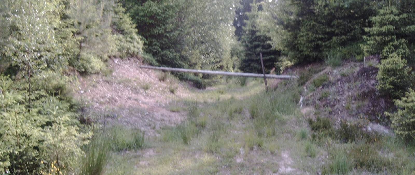 Römerstraße, © Touristik GmbH Gerolsteiner Land Römerstraße, © Touristik GmbH Gerolsteiner Land