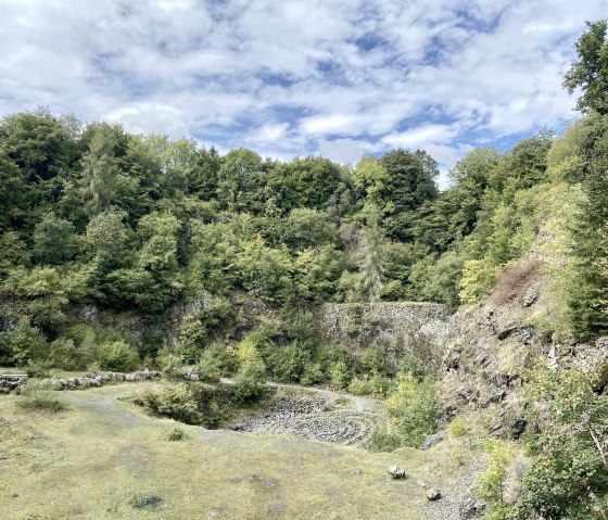 Vulkankrater, © Touristik GmbH Gerolsteiner Land Vulkankrater, © Touristik GmbH Gerolsteiner Land