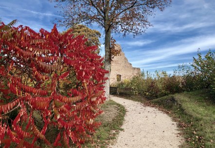 Löwenburg in autumn
, © Touristik GmbH Gerolsteiner Land Narrow path leading to a ruined castle. Colourful trees and bushes next to the path show that it is autumn.