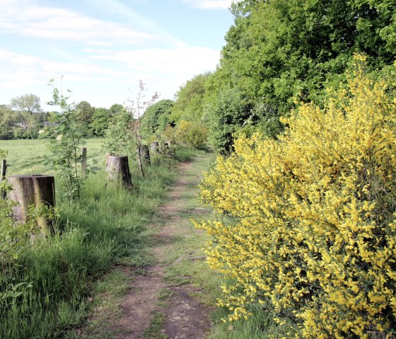 Eifelsteig hiking trail, © Monschau Touristik Eifelsteig hiking trail, © Monschau Touristik