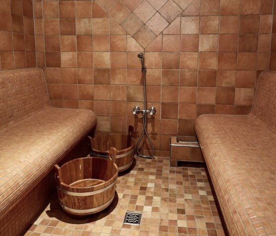 Dampfbad Mausefalle Dampfbad Mausefalle