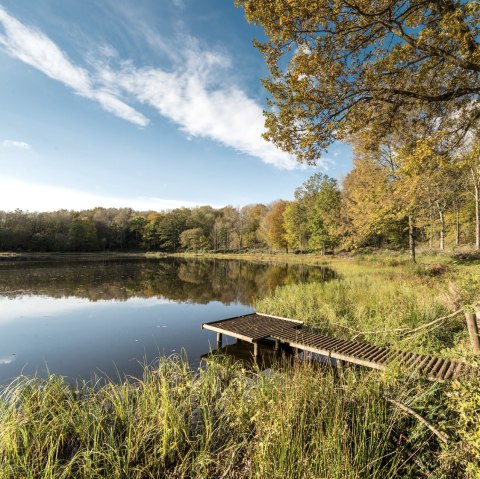 Vulkamaar Trail: Windsborn crater lake, © Eifel Tourismus GmbH - D. Ketz Vulkamaar Trail: Windsborn crater lake, © Eifel Tourismus GmbH - D. Ketz