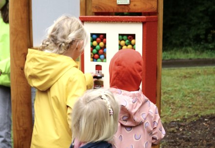 Drie kinderen staan voor de knikkerautomaat op het natuurpad in Gerolstein.
, © Thomas Langens Drie kinderen in regenjassen staan dicht bij elkaar voor de knikkerautomaat en kopen knikkers voor de bosknikkerbaan.