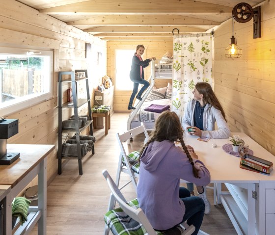 ET-2023-196-Adler & Wolfspark Kasselburg, Pelm-©Ei ET-2023-196-Adler & Wolfspark Kasselburg, Pelm-©Ei