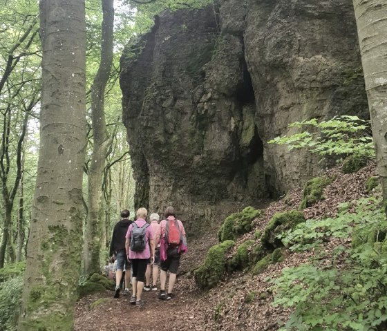 Wandergruppe neben hoher Felswand der Gerolsteiner Dolomiten, © Touristik GmbH Gerolsteiner Land Mehrere Wanderer laufen auf einem schmalen Waldpfad neben hohen Felswänden durch den Wald.