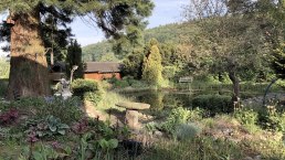 Natur-Schwimmteich Natur-Schwimmteich