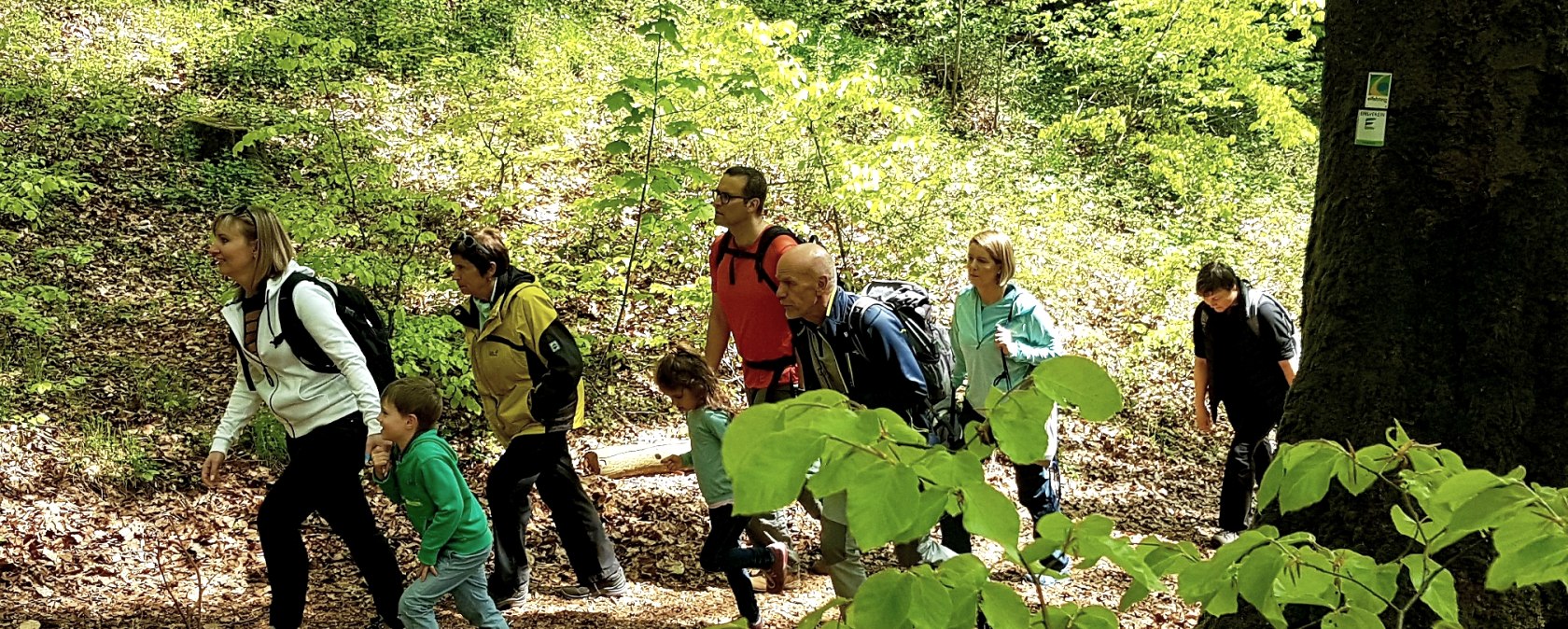 Wandergruppe am Nerother Kopf
, © Nicole Baller/TW Gerolsteiner Land GmbH Eine Gruppe aus acht Personen wandert auf einem mit laub bedeckten Waldweg einen Berg hinauf.