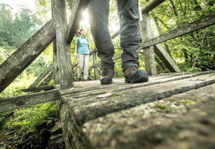 Zwei Wanderer auf einer Brücke mitten im Wald
, © Eifel Tourismus GmbH, Dominik Ketz Froschperspektive auf zwei Personen, die über eine Holzbrücke im Wald wandern.