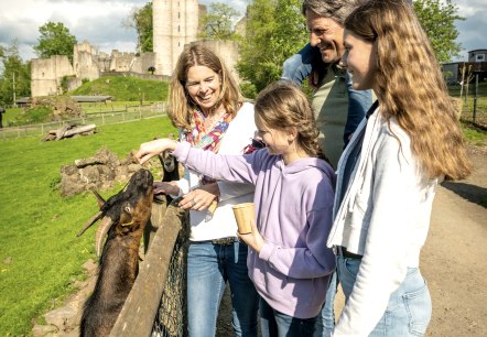 Fünfköpfige Familie zu Besuch am Streichelzoo im Adler- und Wolfpspark Kasselburg.
, © Eifel Tourismus GmbH, Dominik Ketz Eine fünfköpfige Familie steht am zaun eines Streichelzoos und füttert die sich dahinter befindenden Ziegen. Im Hintergrund eine Burg.