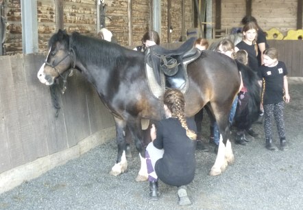 Vorbereitung für den Ausritt, © Ruth Mühlau und Petra Sieger Vorbereitung für den Ausritt, © Ruth Mühlau und Petra Sieger