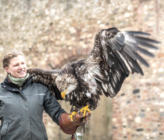 Adler und Wolfspark Falknerin mit Adler, © Eifel Tourismus GmbH, Dominik Ketz Adler und Wolfspark Falknerin mit Adler, © Eifel Tourismus GmbH, Dominik Ketz