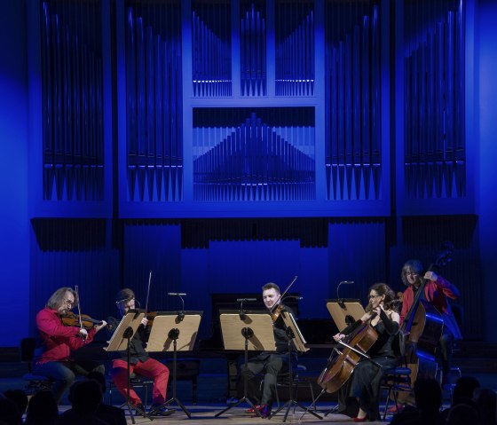 Die Schlesischen Kammersolisten beim musizieren
, © Soldan 5 Personen an Streichinstrumenten auf einer Bühne in einem schwach beleuchteten Saal.