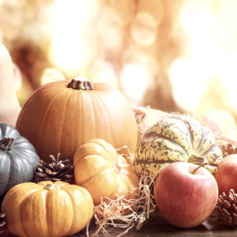 Erntedank, © Touristik GmbH Gerolsteiner Land Erntedank, © Touristik GmbH Gerolsteiner Land