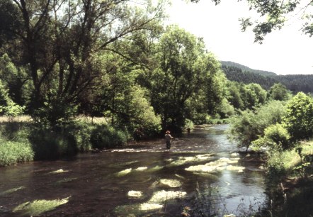 Angeln an der Kyll, © Touristik GmbH Geroslteiner Land Angeln an der Kyll, © Touristik GmbH Geroslteiner Land