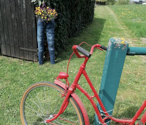 Gartenimpressionen Gartenimpressionen