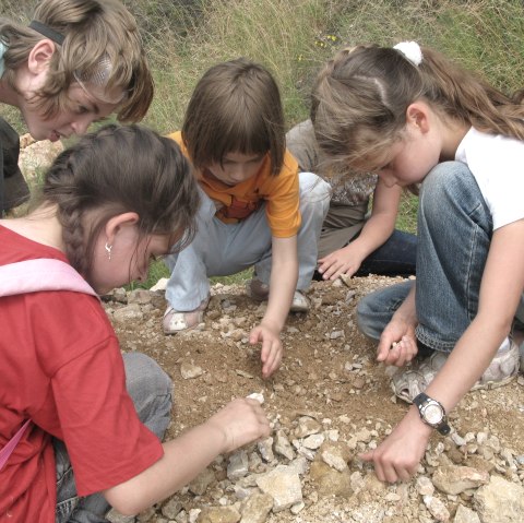 A group of children examines a pile of rocks., © Touristik GmbH Gerolsteiner Land 6 children kneel in a circle on a mound of rocks and look at them closely.