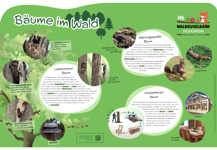 Großes Informationsschild zu "Bäume im Wald"., © hochkant Großes Informationsschild zu "Bäume im Wald" mit Informationen zu Lebensraum Baum, Nahrungsquelle Baum und Holzlieferant Baum.