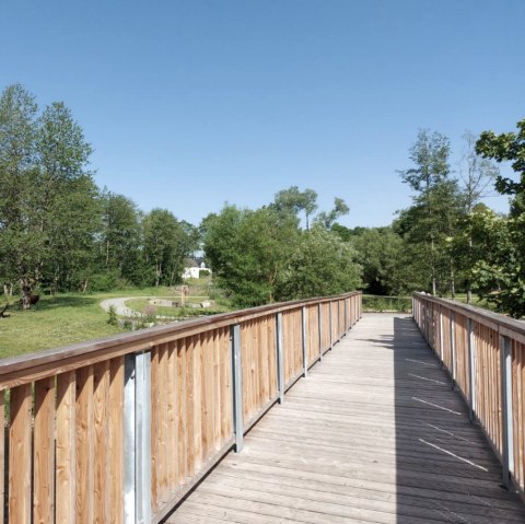 Große Holzbrücke im Kurpark Stadtkyll, © Touristik GmbH Gerolsteiner Land Eine große Holzbrücke führt in ein Parkgelände mit zahlreichen Bäumen und Spazierwegen.