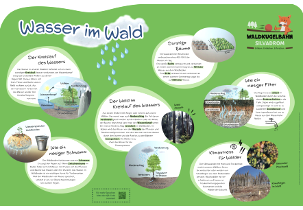 Informationsschild "Wasser im Wald"., © hochkant Informationsschild "Wasser im Wald" mit Infos zum Wasserkreislauf, Wasserfilterung, Klima und vieles mehr.