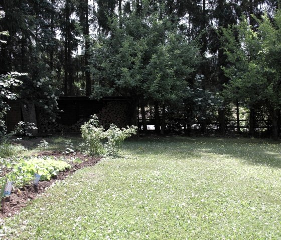 Eifel Relax.., © Ferienwohnung Eifel/Relax Frau Walla Eifel Relax.., © Ferienwohnung Eifel/Relax Frau Walla