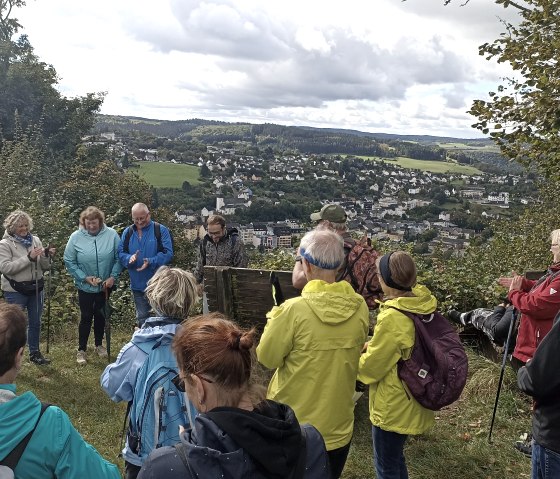 Wandergruppe auf dem Gerolsteiner Krimisteig mit Blick auf Gerolstein, © Dorita Molter-French Eine große Wandergruppe steht auf einer Anhöhe auf einer Wiese zwischen Bäumen und Ausblick auf die Stadt Gerolstein