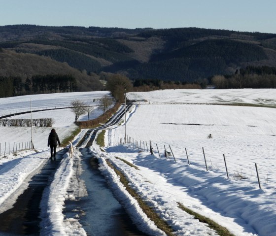 Winter, © Tiemo Wolff Winter, © Tiemo Wolff