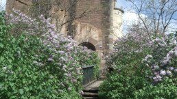 Willkommen Willkommen