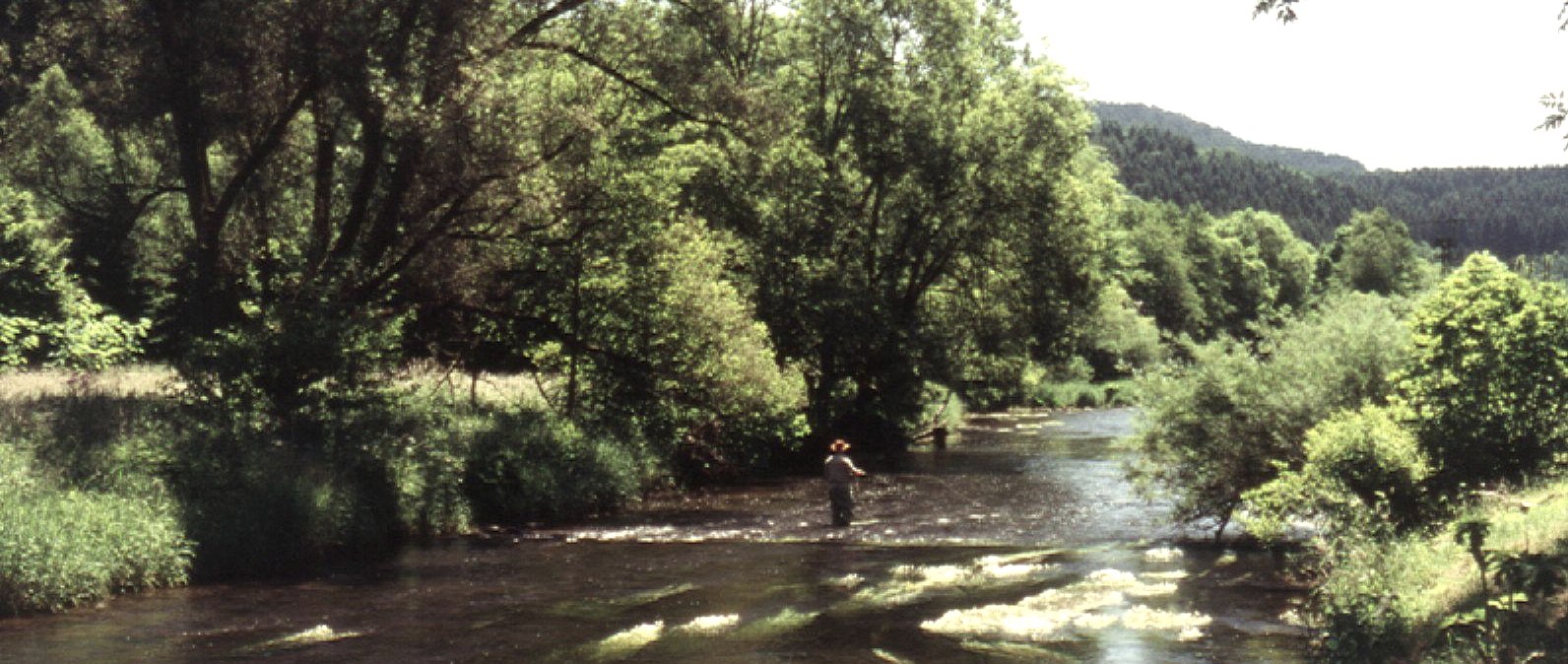 Angeln an der Kyll, © Touristik GmbH Geroslteiner Land Angeln an der Kyll, © Touristik GmbH Geroslteiner Land