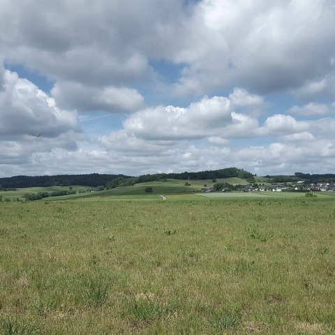 Richtung Aueler Drees, © Touristik GmbH Gerolsteiner Land Richtung Aueler Drees, © Touristik GmbH Gerolsteiner Land
