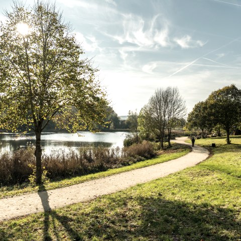 Idyllic path with lake in the Bolsdorf valley.
, © Eifel Tourismus GmbH, Dominik Ketz Idyllic hiking trail leads past a lake in the Bolsdorf valley.