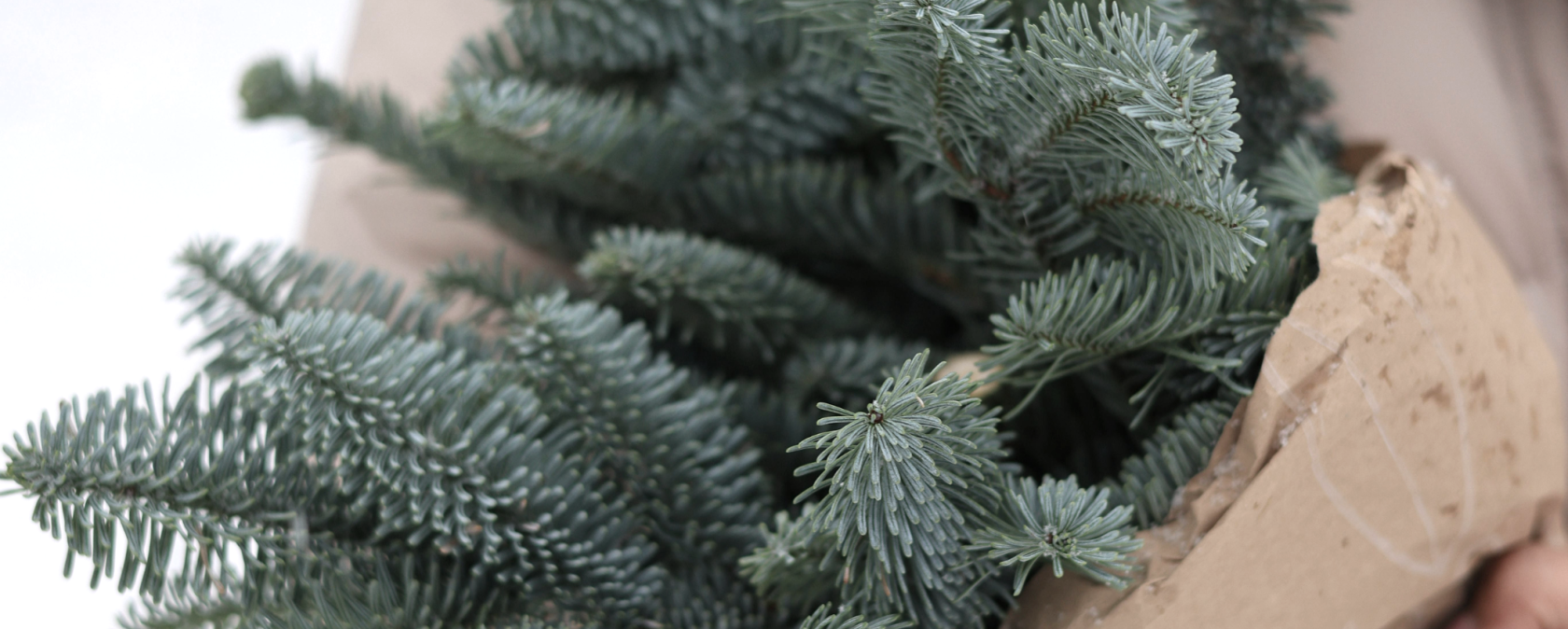 Adventskranz, © canva Adventskranz, © canva