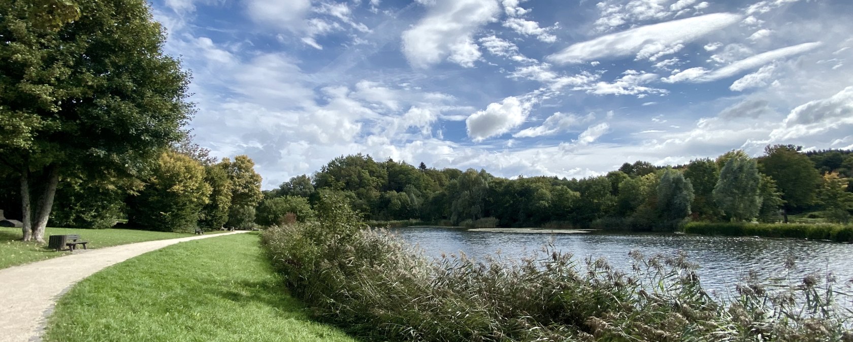 A picturesque path leads along a lake, lined with green trees and reeds. The sky is blue with white clouds., © Touristik GmbH Gerolsteiner Land A picturesque path leads along a lake, lined with green trees and reeds. The sky is blue with white clouds., © Touristik GmbH Gerolsteiner Land