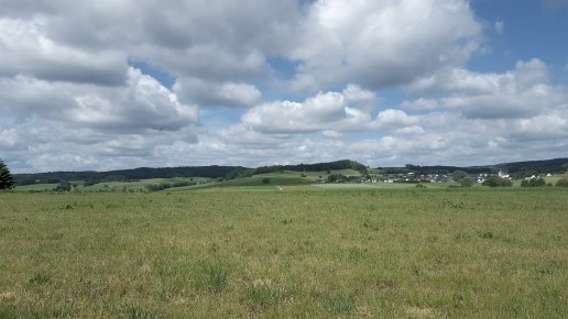 Richtung Aueler Drees, © Touristik GmbH Gerolsteiner Land Richtung Aueler Drees, © Touristik GmbH Gerolsteiner Land