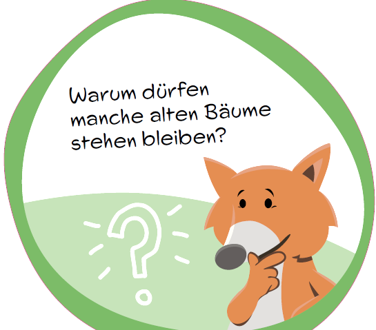 Quiz sign about old trees with fox mascot., © hochkant Quiz sign about old trees with fox mascot.