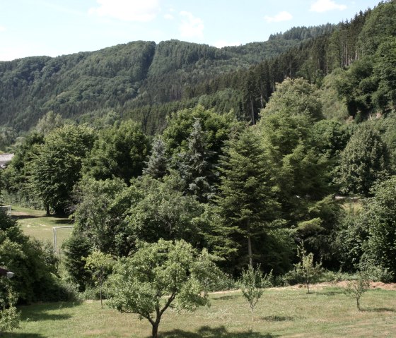 Blick von Terrasse Blick von Terrasse