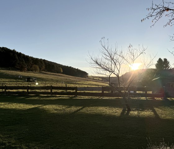 Der Garten Der Garten